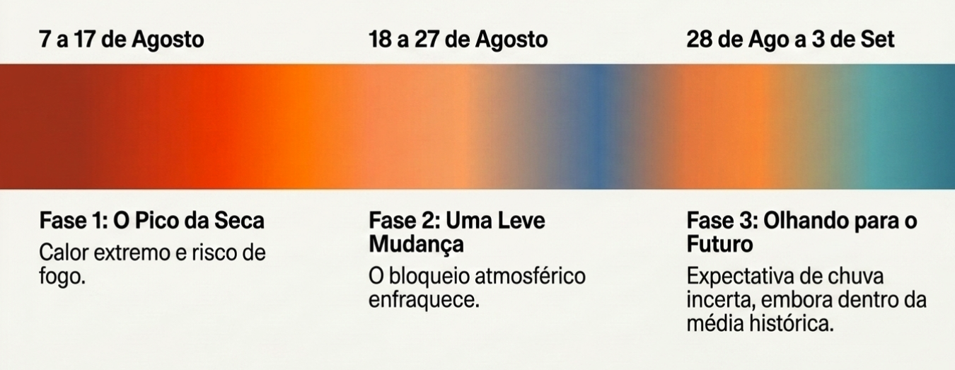 Fases
