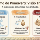 trimestre SON