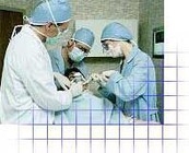 noticia1260285213_ORIG.jpg