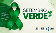 Set Verde 2026