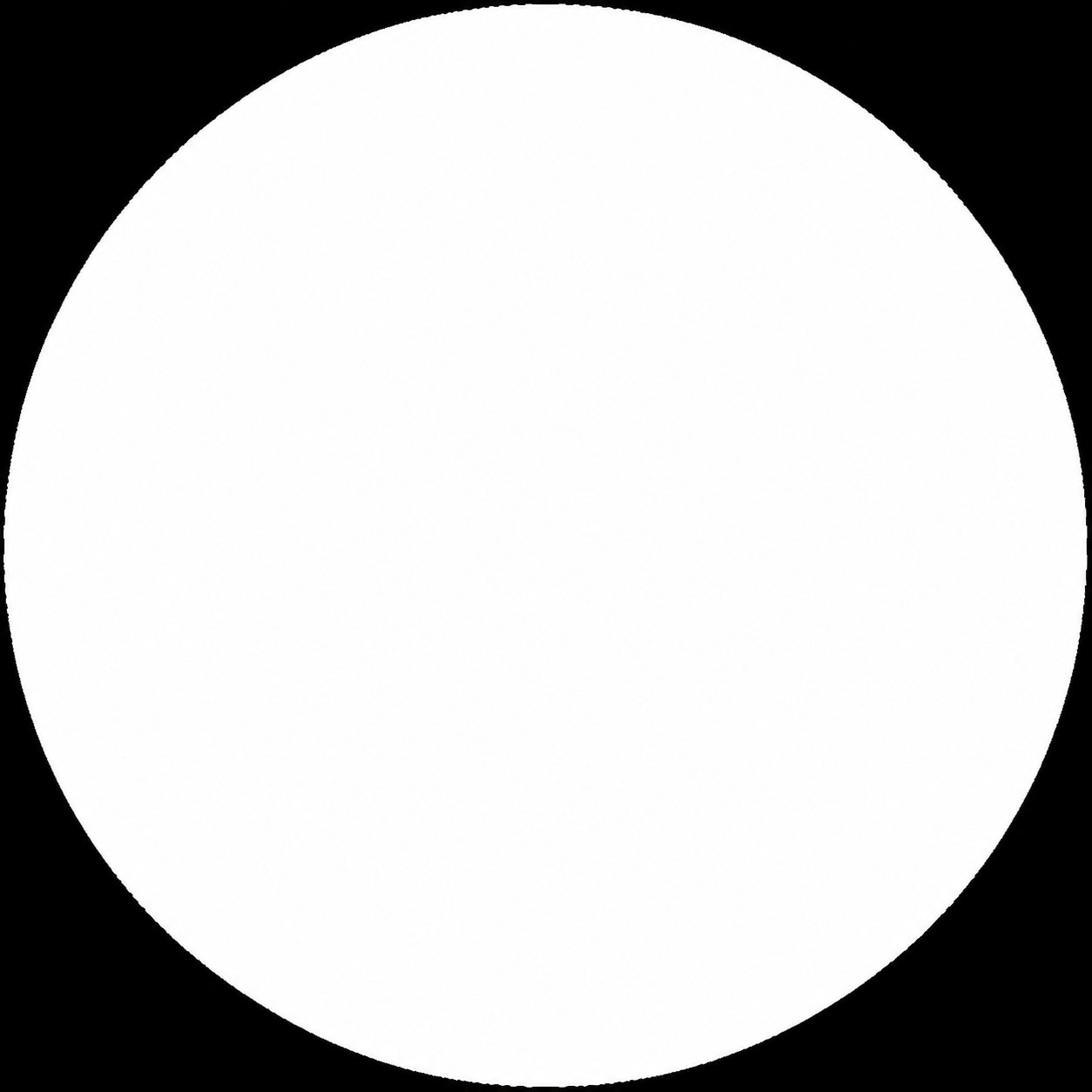 em branco 
