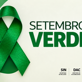 Set Verde 2026