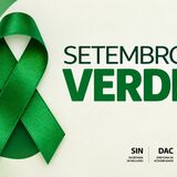 setembro verde