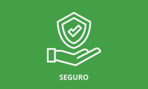 logo seguro