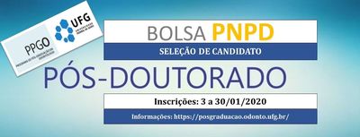 Divulgação PNPD Divulgação PNPD