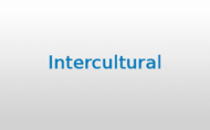 Intercultural_2020