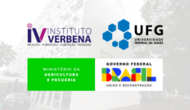 ivmapa_capadenoticia