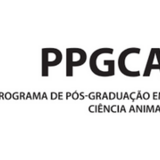 logo ppgca