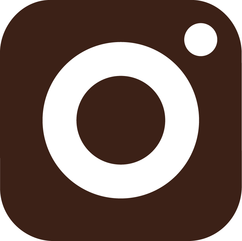 Ícone Instagram