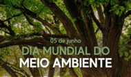 Capa notícia Dia do MA