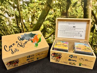 WhatsApp Image 2025-10-13 at 12.04.07