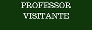 Professor Visitante