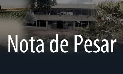 NOTA DE PESAR CARD/BOX