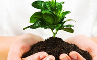 Eng. Ambiental