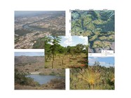 noticia1307380736_ORIG.jpg