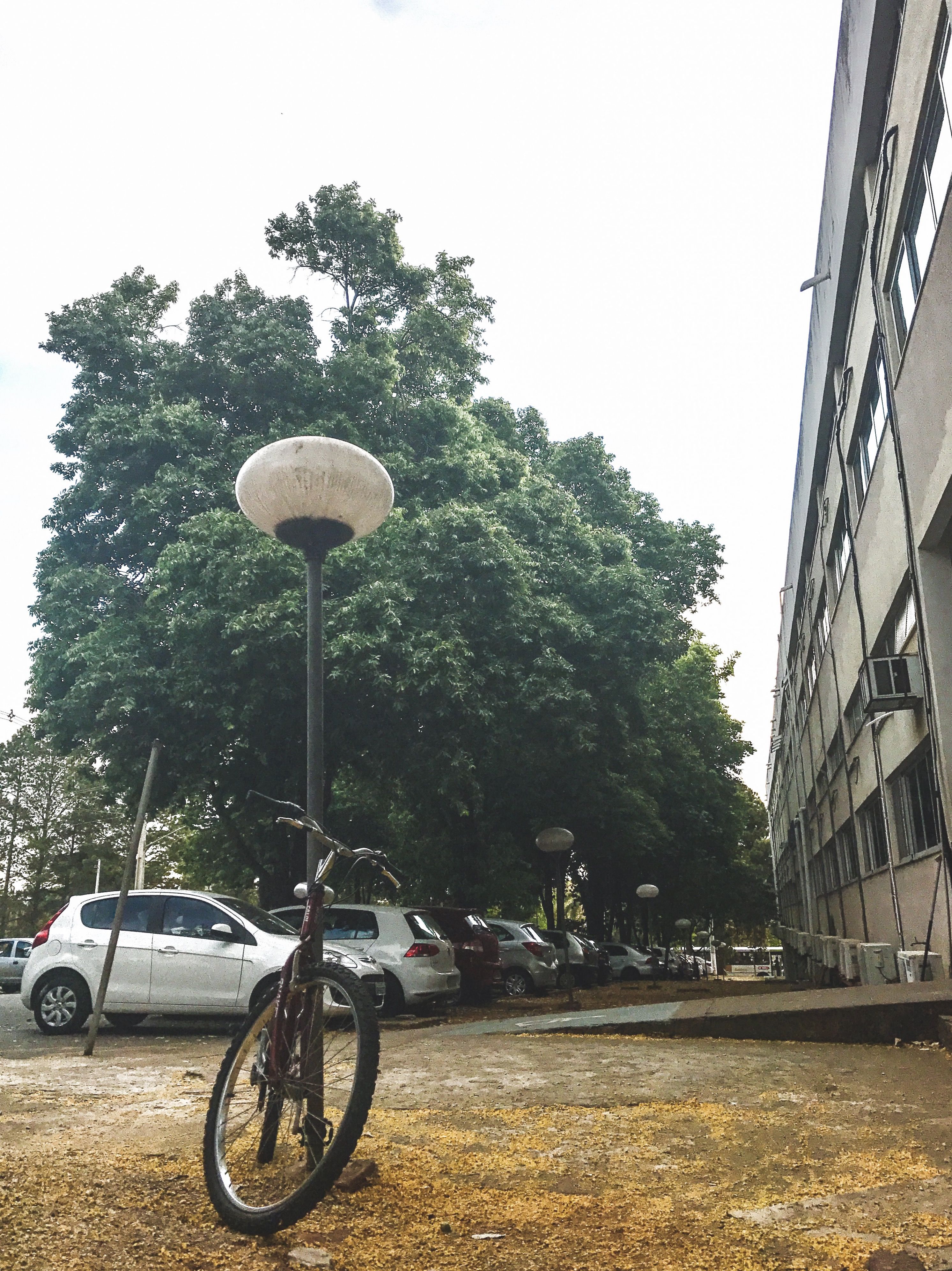 Imagem Vencedora 2 Lugar - primeiro Concurso Cultural Fotográfico com o Tema “ Dia a dia na Escola de Engenharia”
