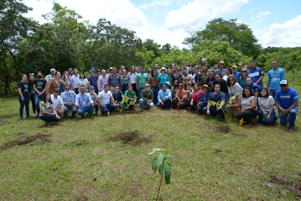 Virada Ambiental