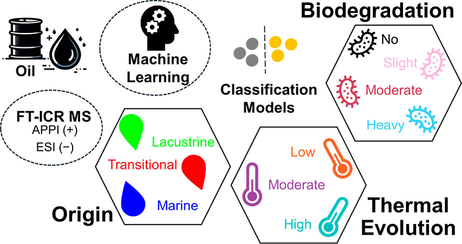 graphical abstract Machine Learning for FT-ICR MS Analysis