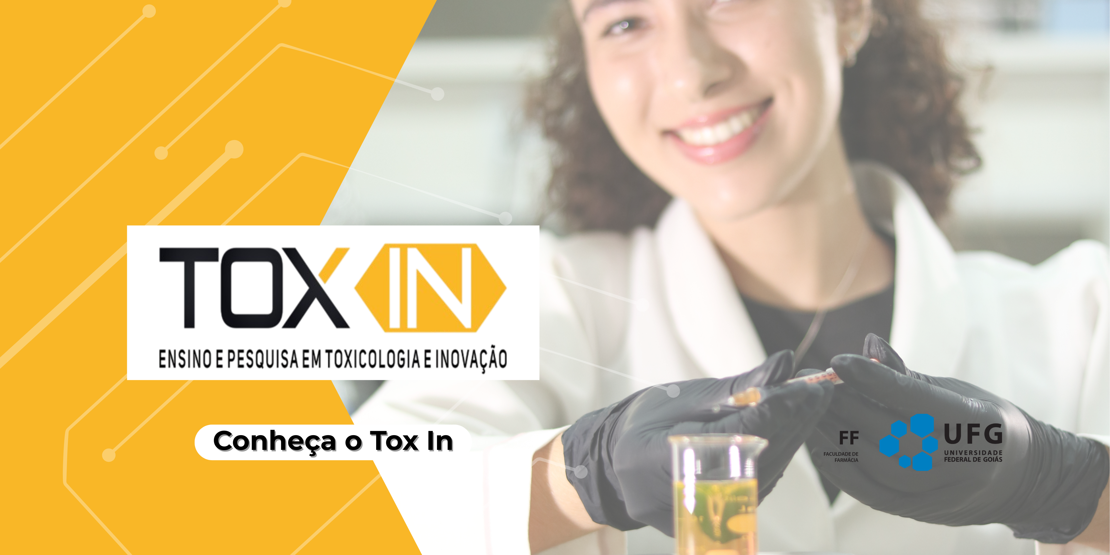 Conheça o Tox In
