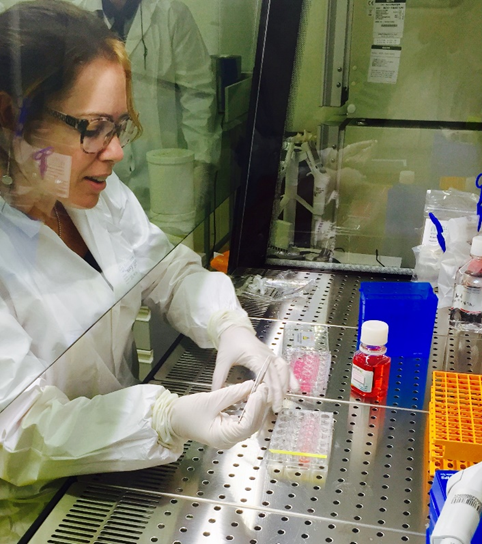 treinamento Nice -França 2016