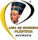 Logo - Liga Cir. Plástica