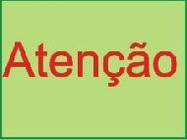 noticia1248790156.jpg
