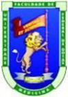noticia1261478384.jpg