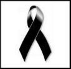 noticia1273674929_ORIG.jpg