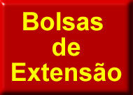 noticia6305.jpg