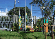 noticia6799.gif