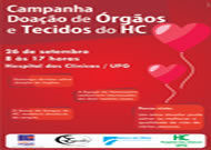noticia8138.jpg