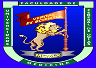 noticia8237.png