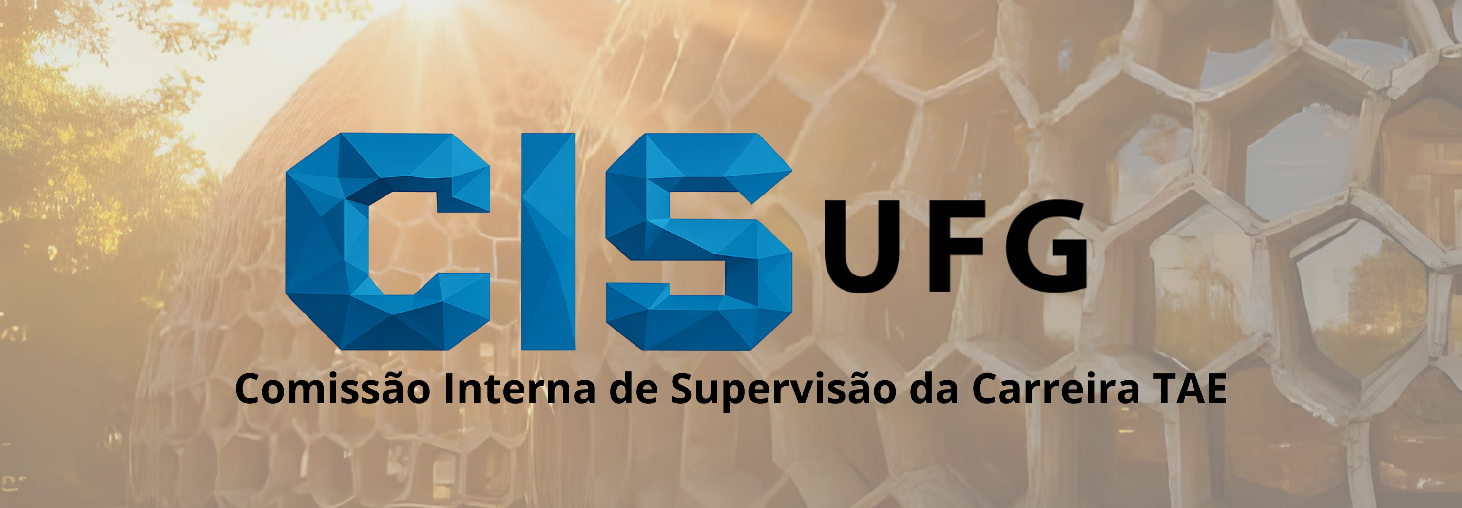 Banner CIS UFG - Colmeia