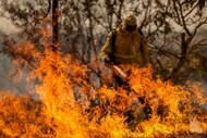 Bombeiro em trage amarelo no meio de uma queimada apagando o fogo 