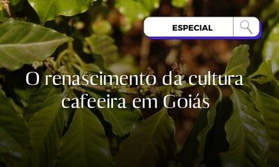 O renascimento da cultura cafeeira em Goiás - Capa