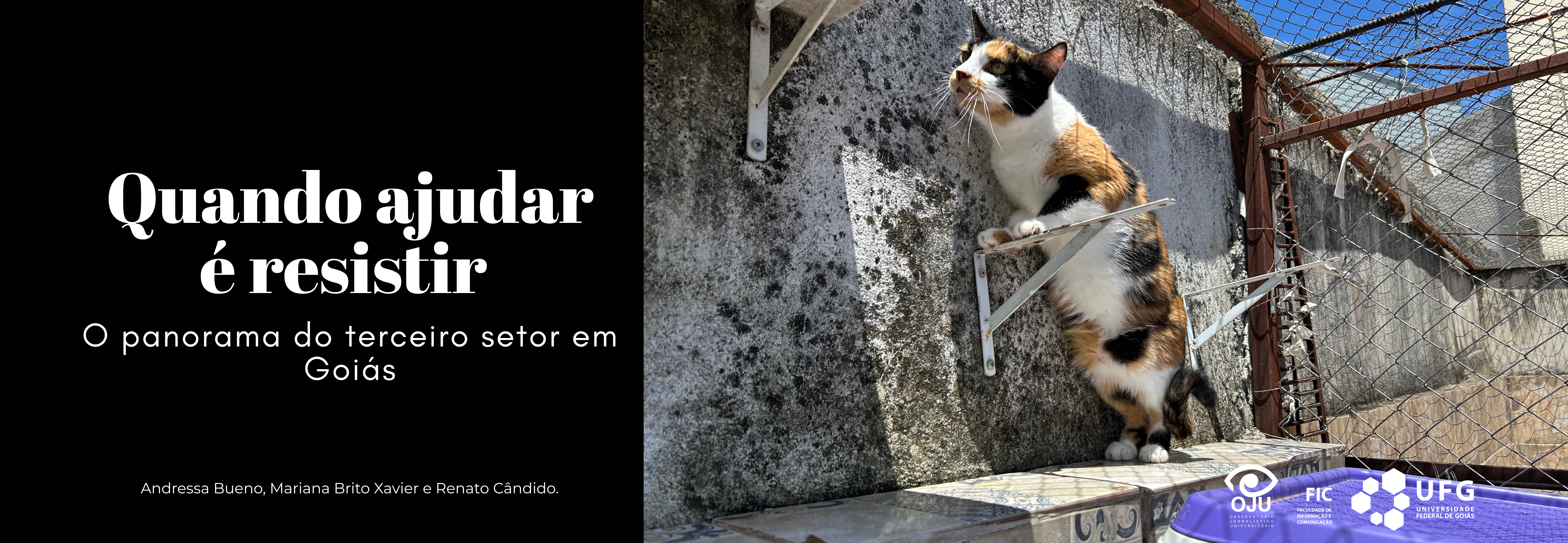 Quando ajudar é resistir: o panorama do terceiro setor em Goiás