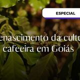 O renascimento da cultura cafeeira em Goiás - Capa