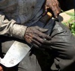 noticia1264770031.jpg