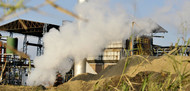 Terceirização em produtora de etanol e açúcar