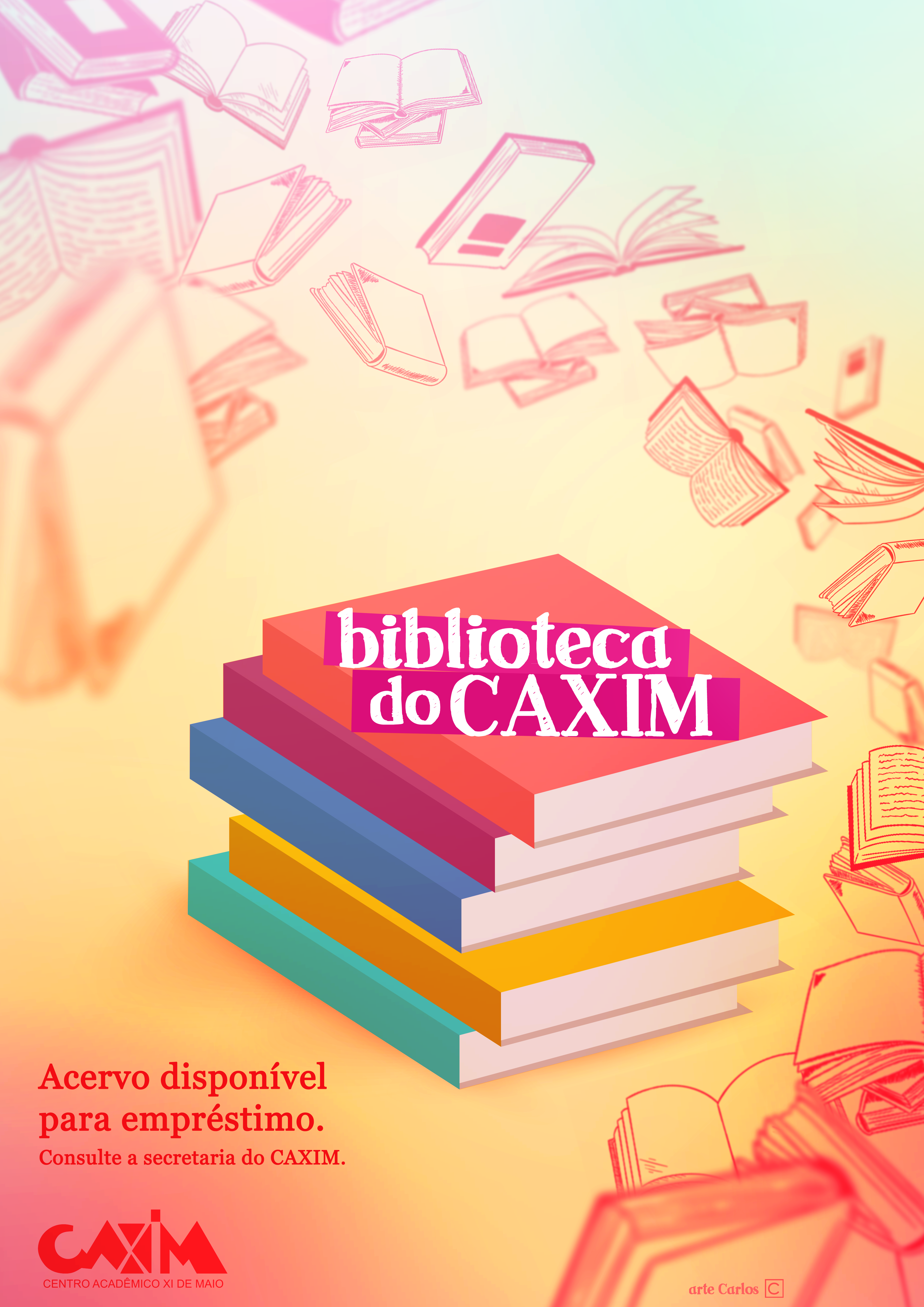 biblioteca 02