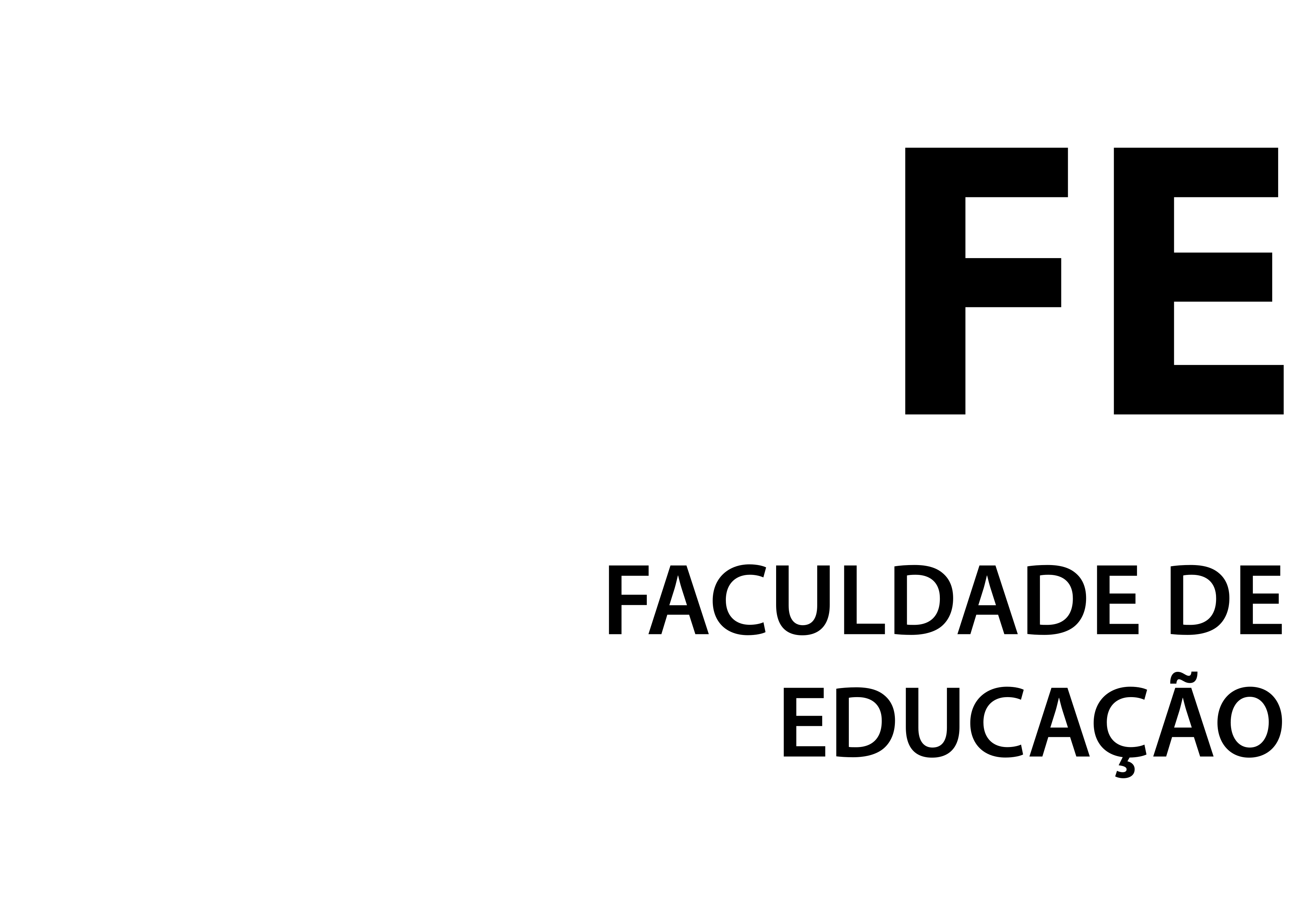 FE logo