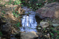 água