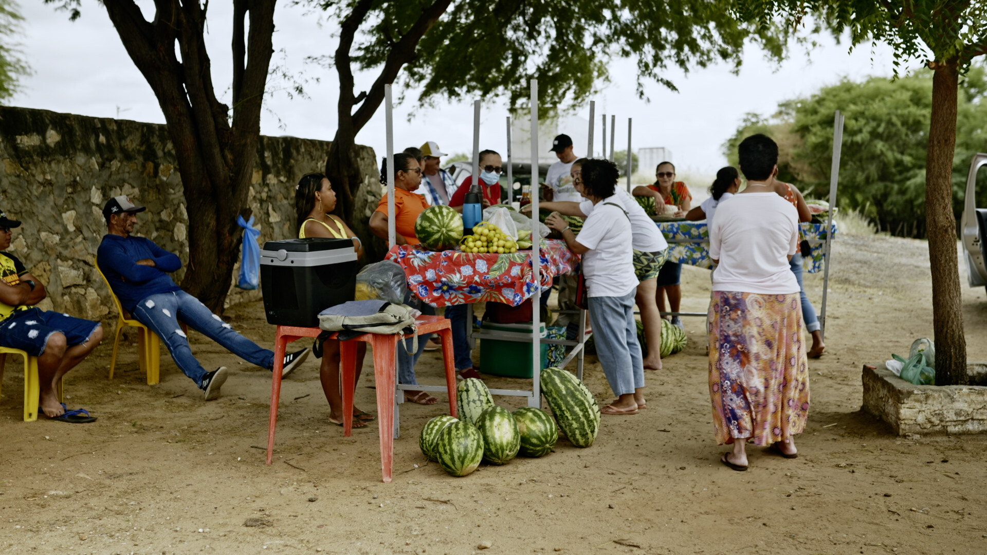NOS SOMOS A CAATINGA