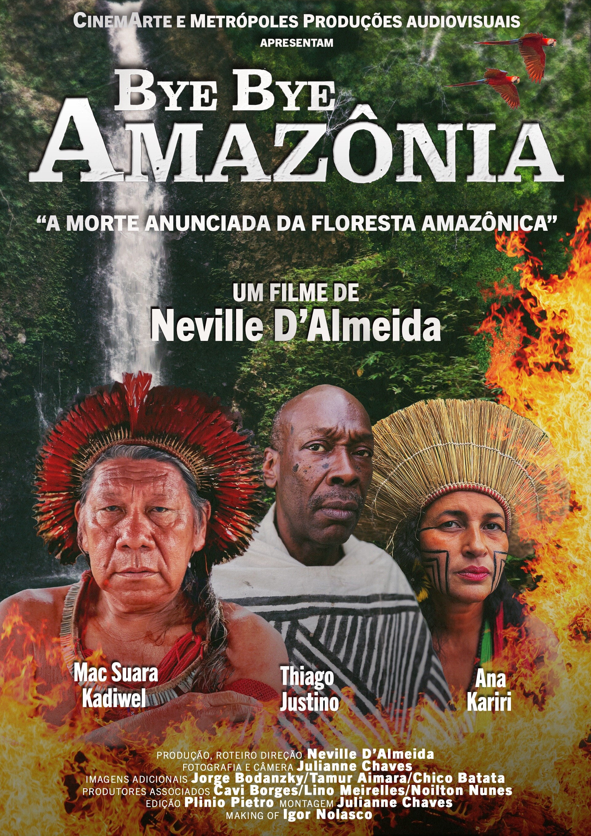 Longa "Bye Bye Amazônia"