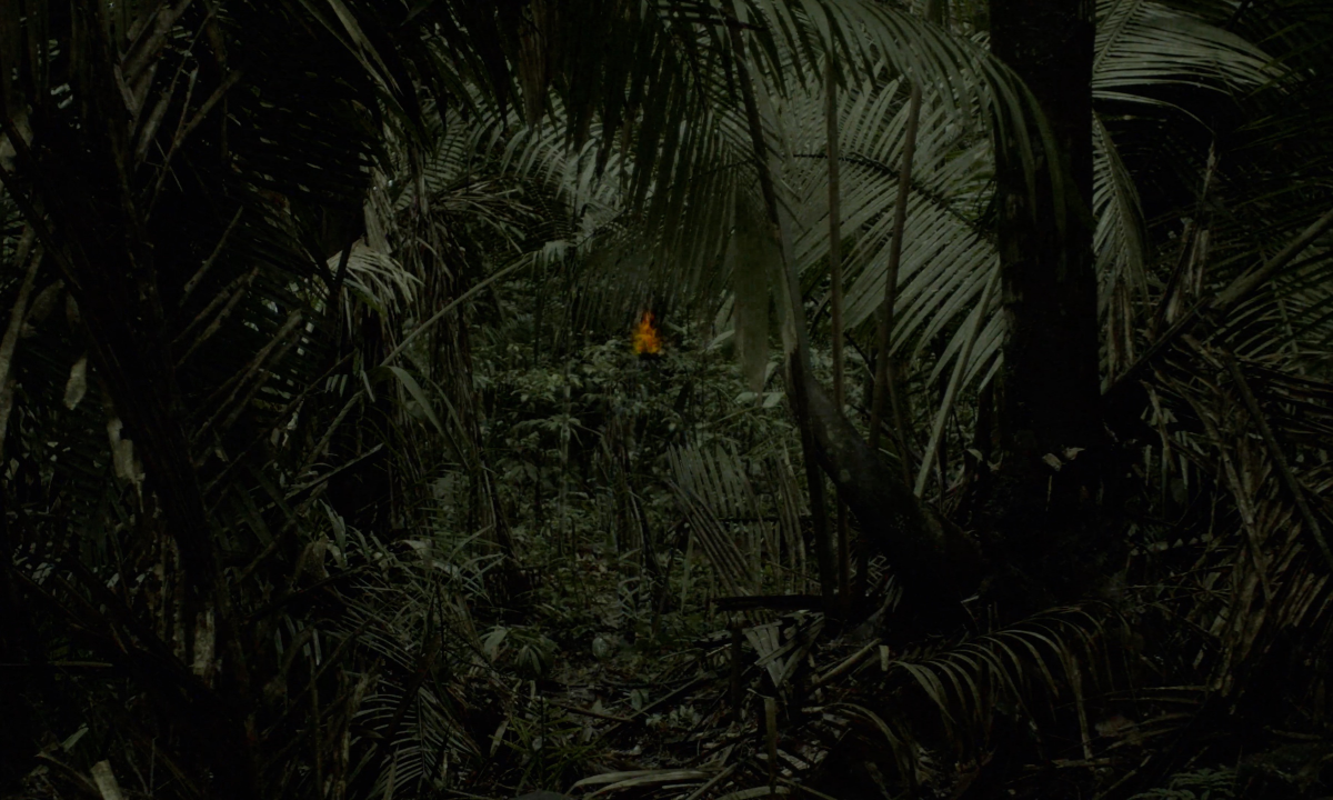 Curupira e a Máquina do Destino