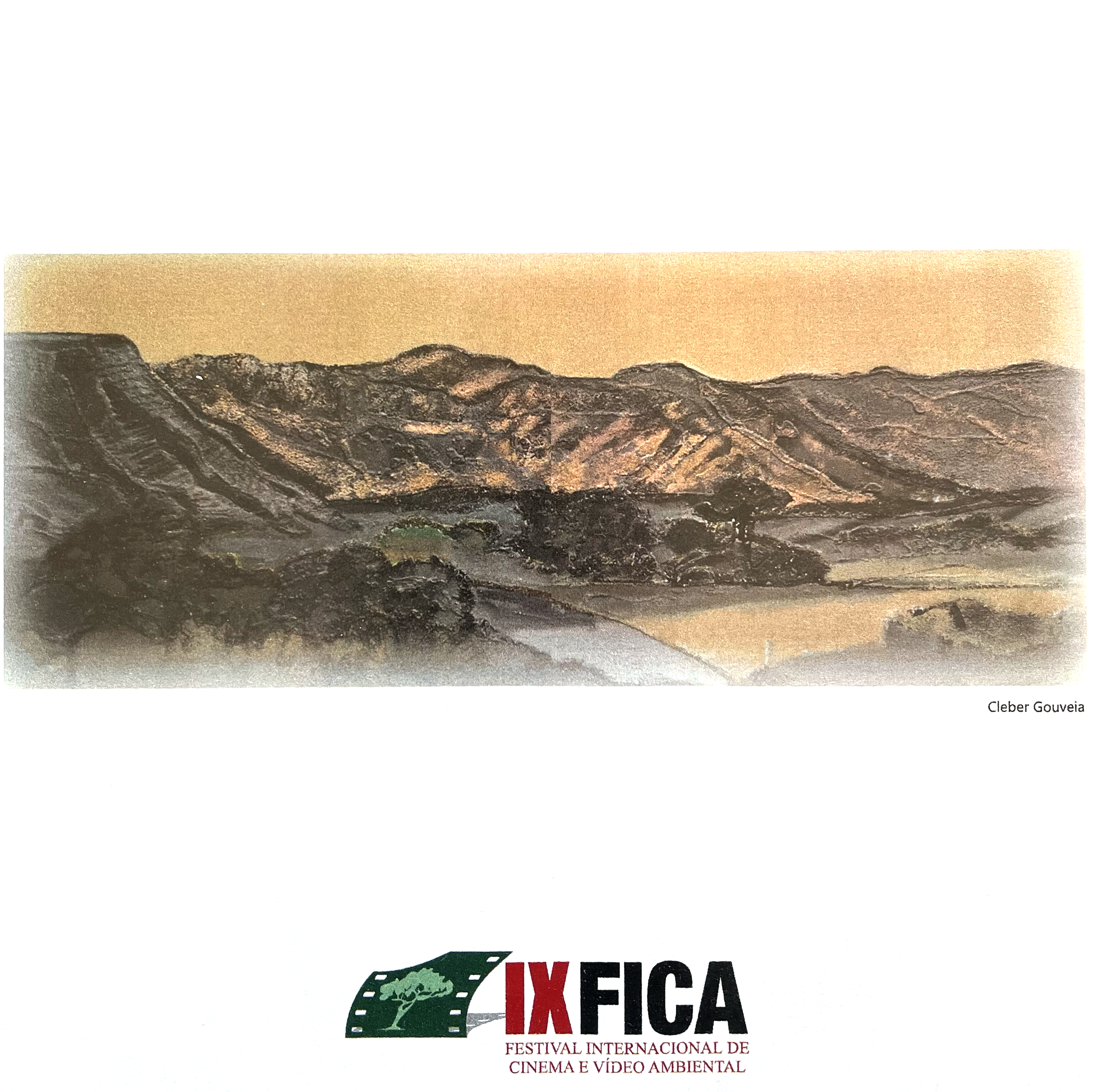 IX FICA - Marca