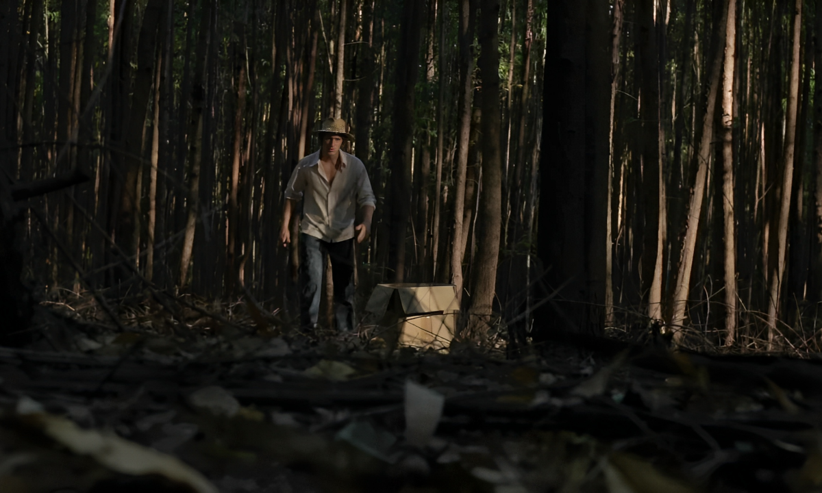 João de Barro – Arrastado Pelo Destino