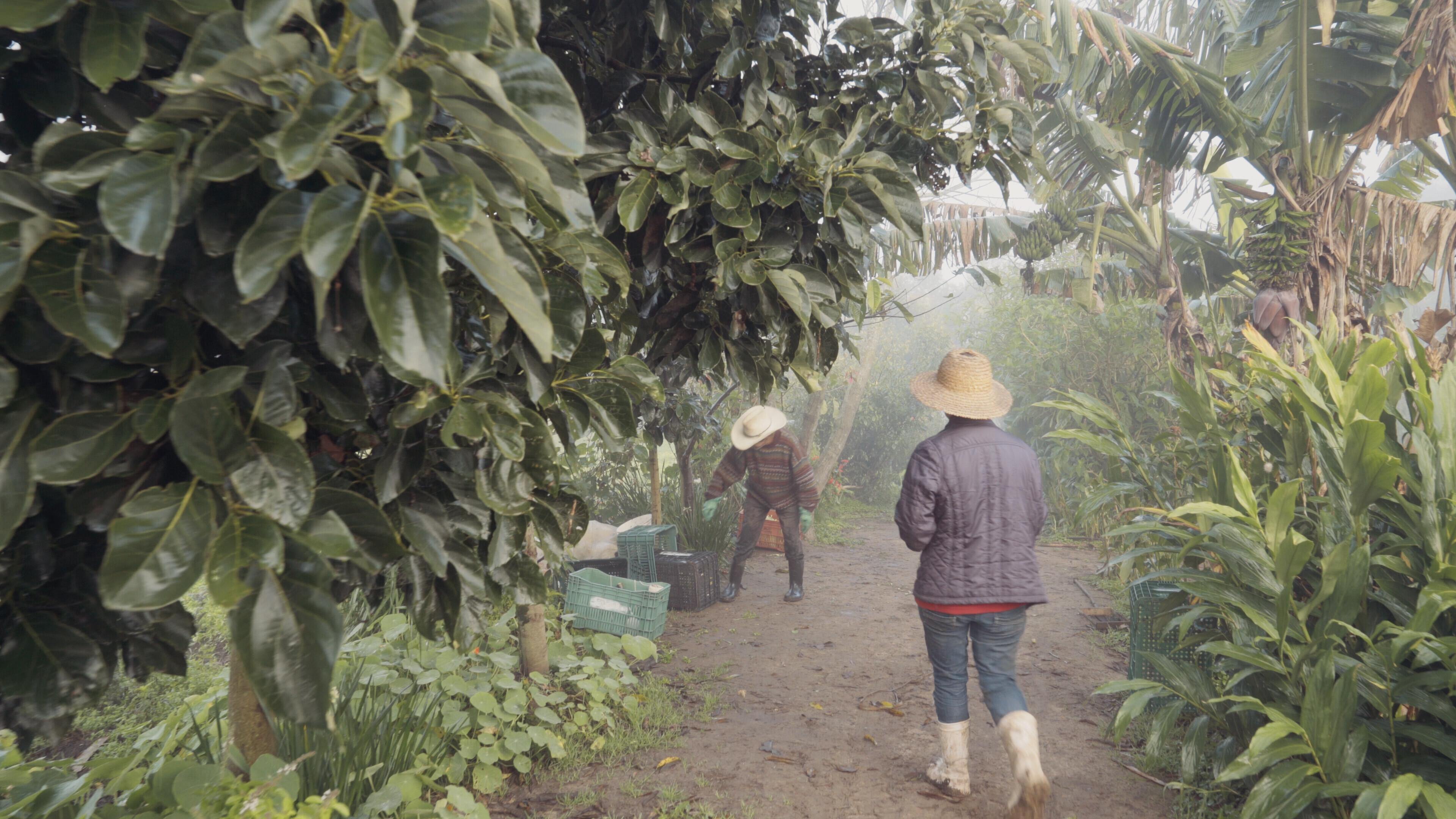 Mãos à Terra