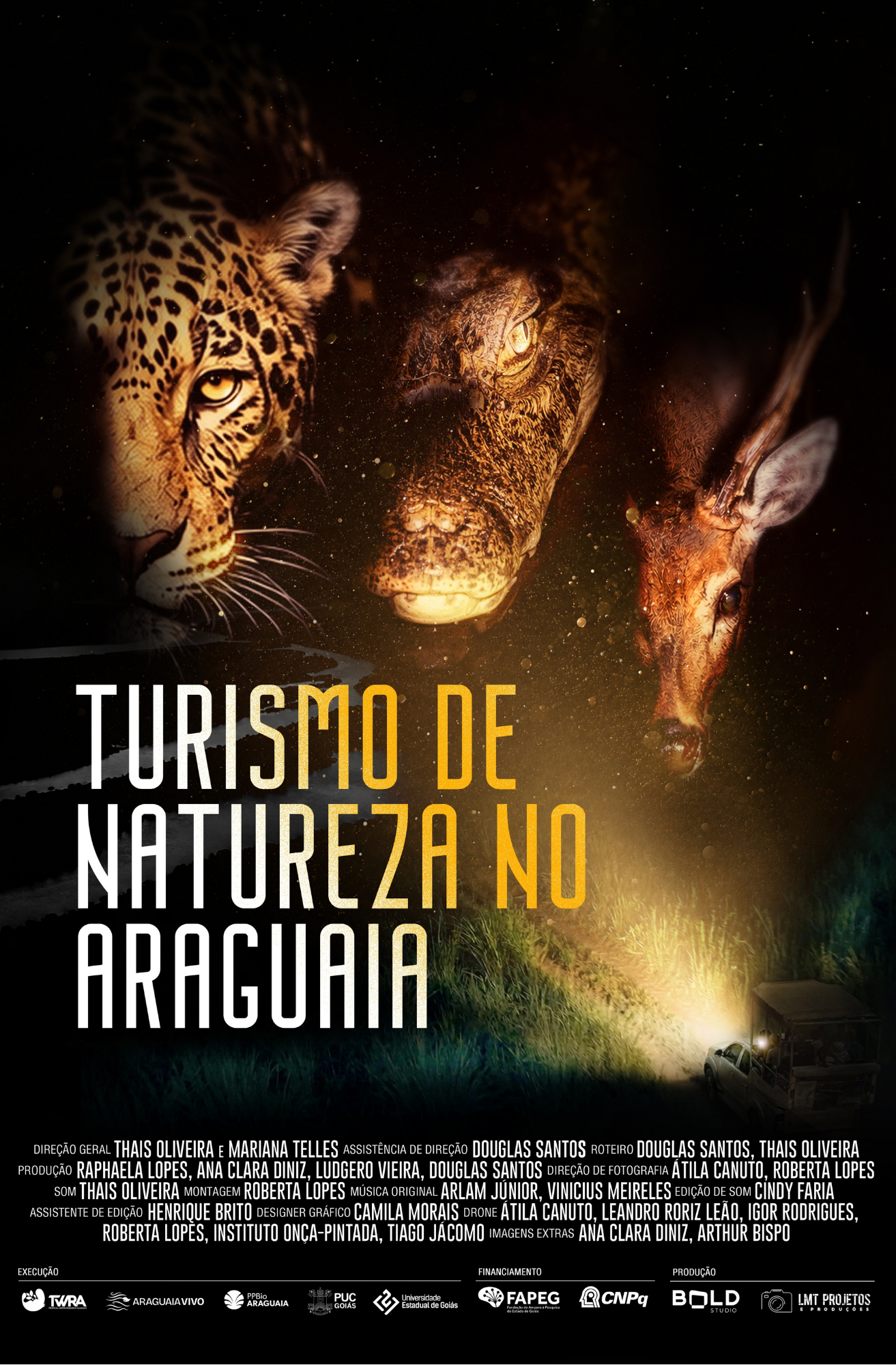 Cartaz do filme “Turismo de Natureza no Araguaia”. A imagem tem fundo escuro, com os rostos de três animais em destaque na parte superior: uma onça-pintada à esquerda, um jacaré ao centro e um cervo à direita. Na parte inferior direita, aparece um veículo em uma área de vegetação iluminada. O título ocupa a parte inferior esquerda em letras grandes brancas e amarelas. No rodapé, há créditos da equipe técnica e logotipos de execução, financiamento e produção.