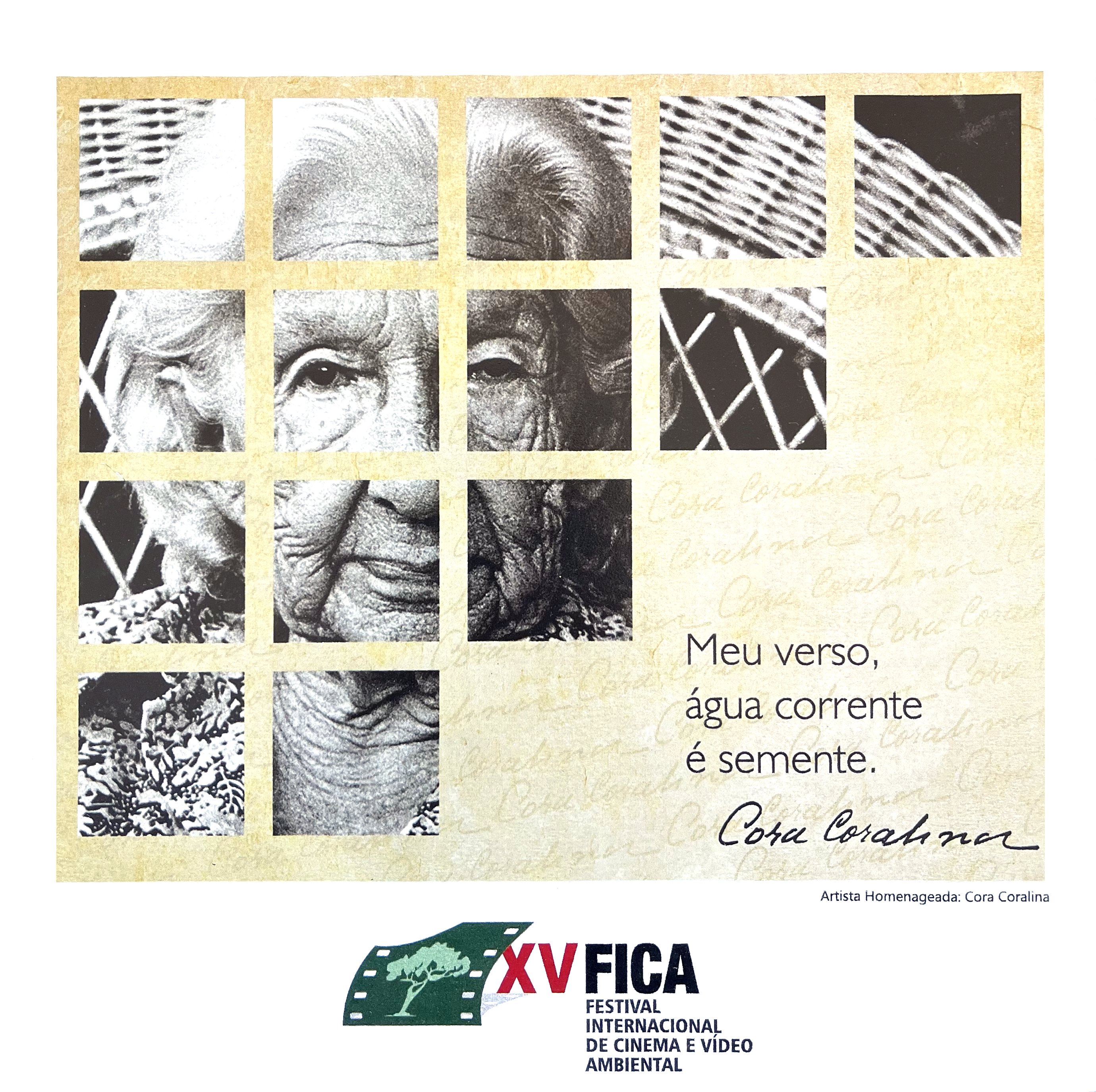 XV FICA - Marca